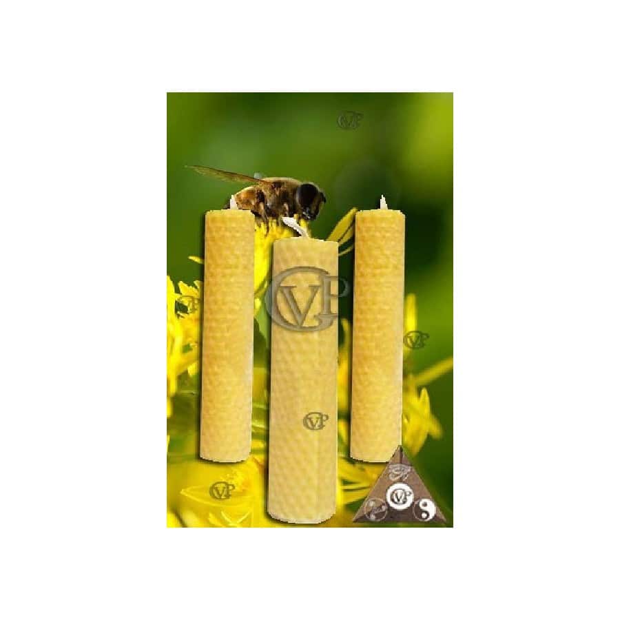 BOUGIE en VÉRITABLE CIRE D'ABEILLE