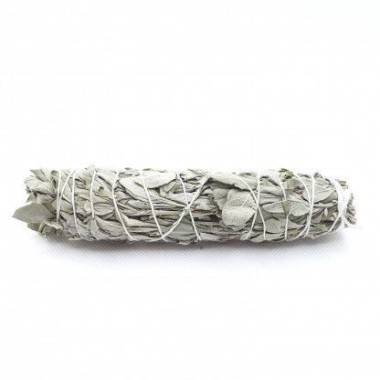 SAUGE BLANCHE - Bâton